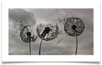 11_RHS Tatton Sculptures print - Jan Hodson